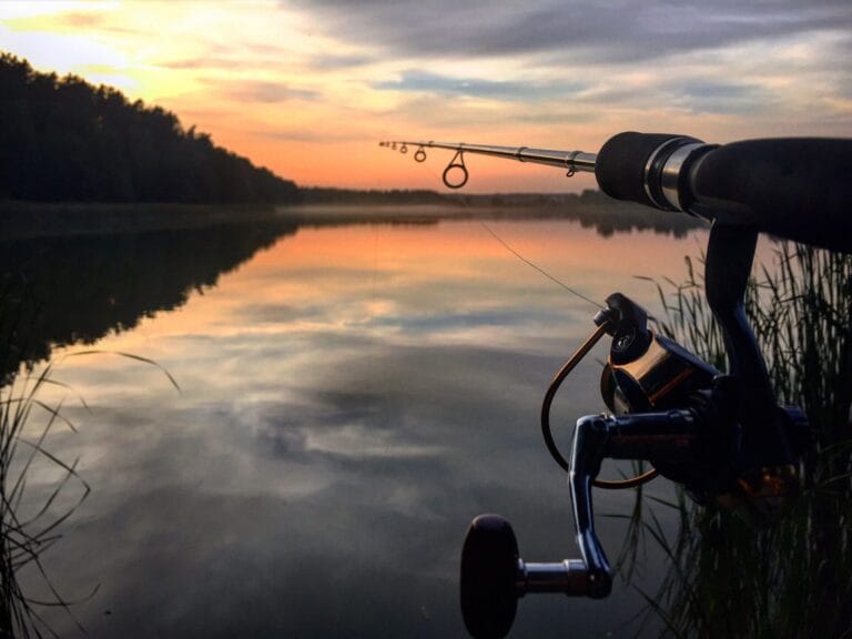 Night Fishing Tips: What You Need to Know to Reel in After Dark