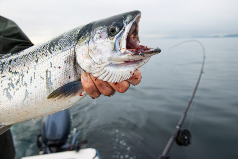 The Best Places for Salmon Fishing